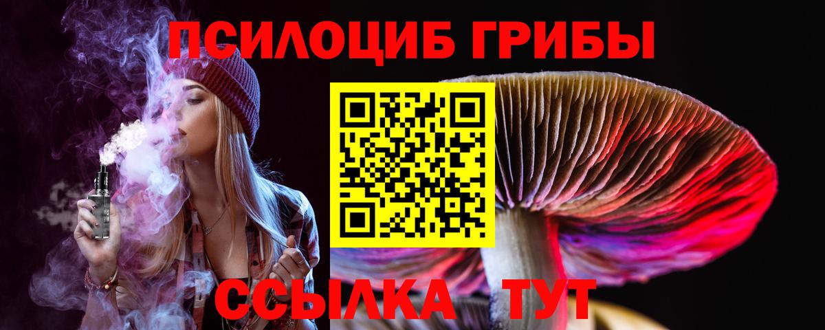 Каспийск  хочу наркоту  Вход с VPN  Галлюциногенные грибы Magic Shrooms  Галлюциногенные грибы прущие грибы 
